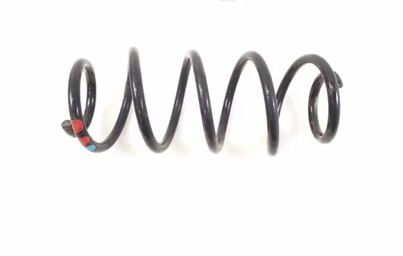 Rear coil spring