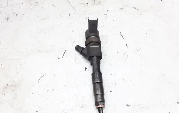 Renault Megane II Fuel injector 8200100272