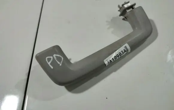 Ford Focus Front interior roof grab handle