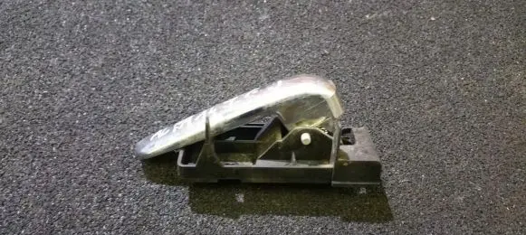 Alfa Romeo 147 Rear door interior handle