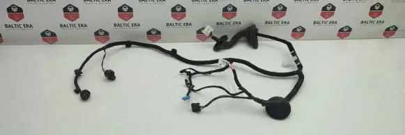 Tesla Model 3 Other wiring loom 306796500A YZZ202581201220