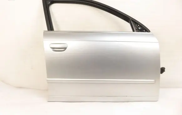 Audi A4 S4 B7 8E 8H Front door 