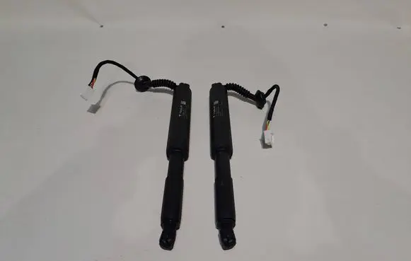 Tesla Model S Tailgate/trunk/boot lift motor 171486500D