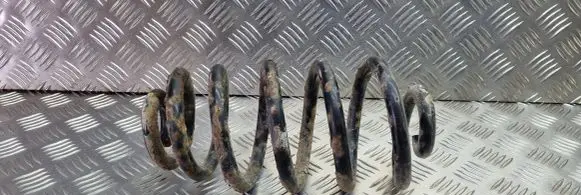 Audi A4 S4 B6 8E 8H Rear coil spring