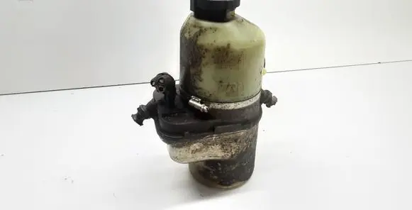 Electric power steering pump