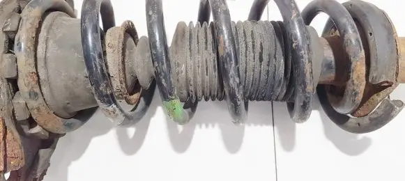 Nissan Primera Rear coil spring