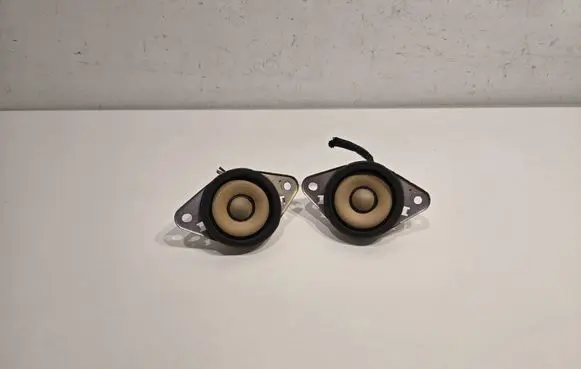 Panel speaker
