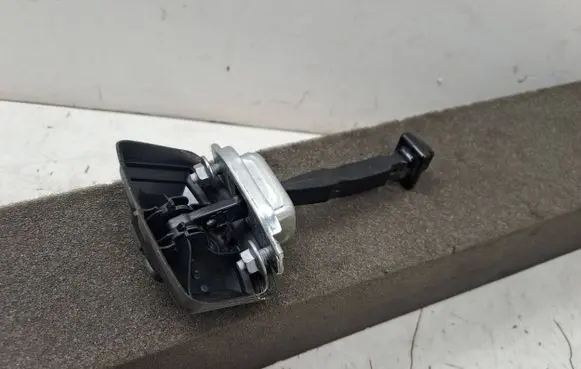 Dacia Sandero III Rear door check strap stopper 824308415R