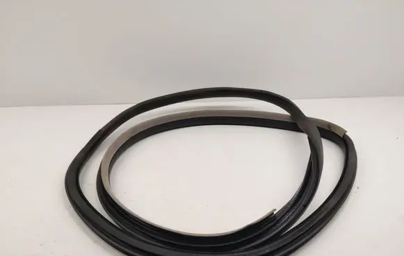 Renault Latitude (L70) Front door rubber seal 