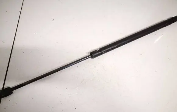 Tailgate/trunk strut/damper