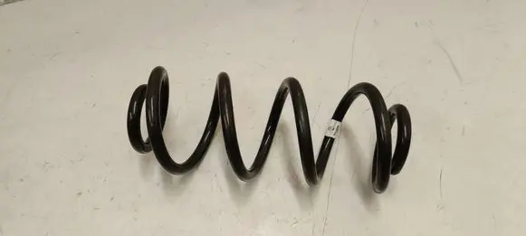 Rear coil spring