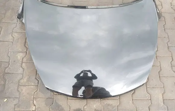 Nissan Juke I F15 Engine bonnet/hood