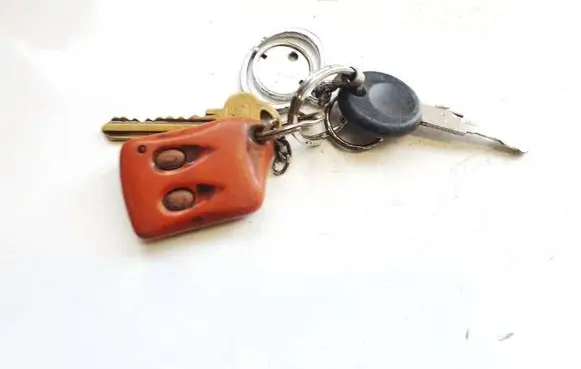 Volkswagen PASSAT B5 Ignition key/card 