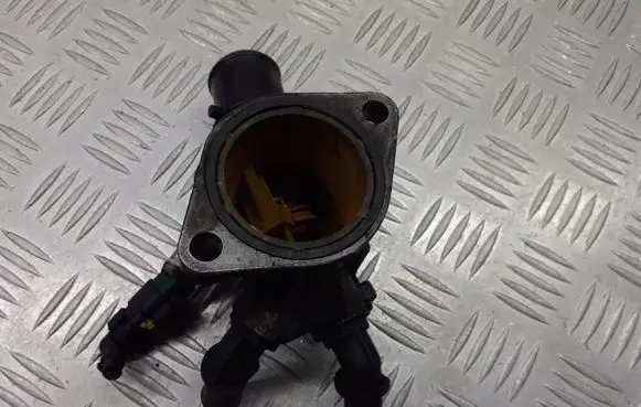 Thermostat/thermostat housing