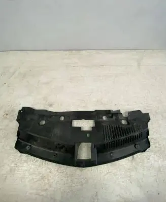 Engine bonnet/hood lock trim molding