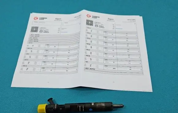 Renault Megane II Fuel injector EJBR01801Z IMPRK1439405