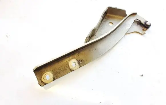 Fiat Punto (199) Engine bonnet/hood hinges