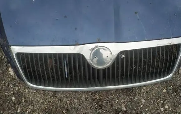 Skoda Octavia Mk2 (1Z) Front grill