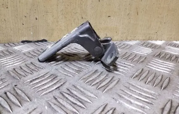 Mitsubishi ASX Front door lower hinge 