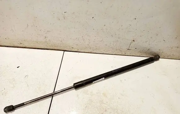 Tailgate/trunk strut/damper