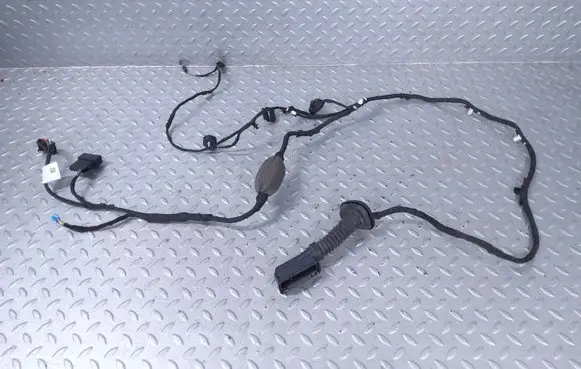 Rear door wiring loom
