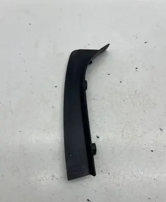 Rear/tail light trim molding
