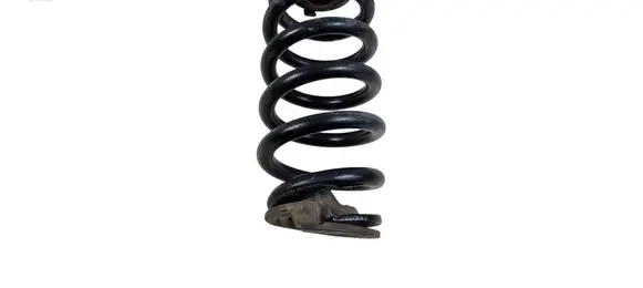 Ford Explorer VI Rear coil spring LB5C5560 LB5C5560NE Q48PA