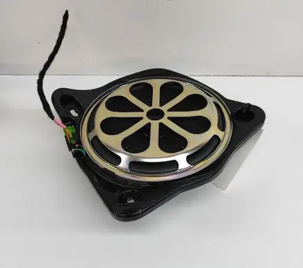Rear door speaker