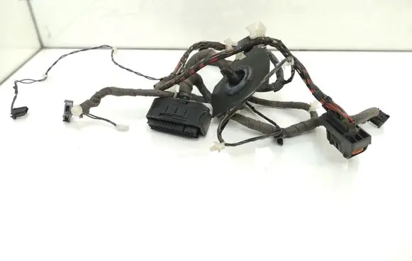 Front door wiring loom