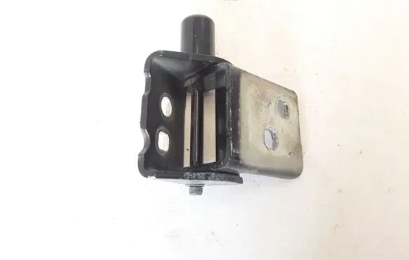 Renault Zoe Front door lower hinge 8200864613