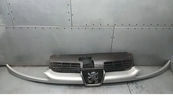 Peugeot 206 CC Front grill 9628691277