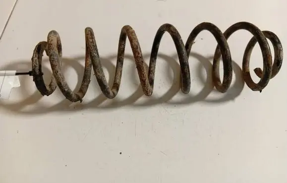 Volkswagen Bora Rear coil spring 