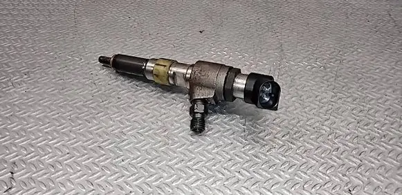 Citroen C5 Fuel injector 9674973080 50274V05