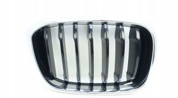 BMW X3 G01 Front grill 8091726
