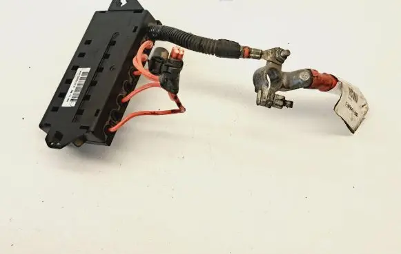 Positive wiring loom