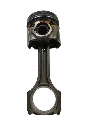 Piston with connecting rod