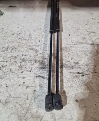 Tailgate strut