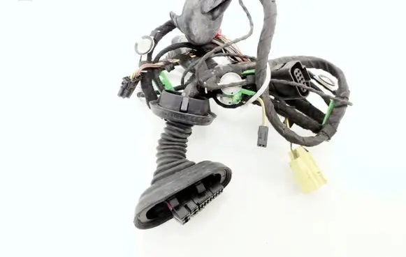 Front door wiring loom