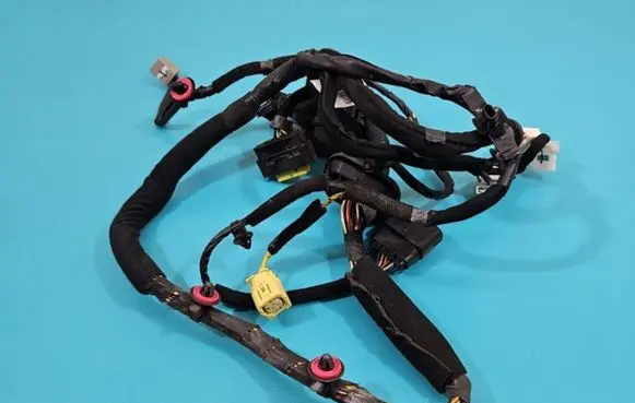 Front door wiring loom