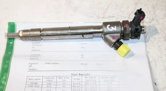 Peugeot Partner III Fuel injector 0445110955 9828959880