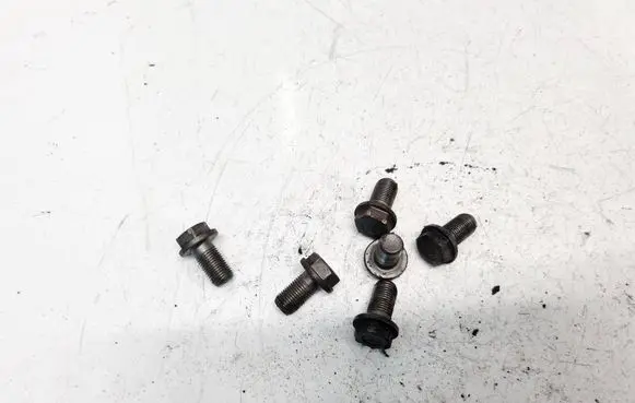 Nuts/bolts