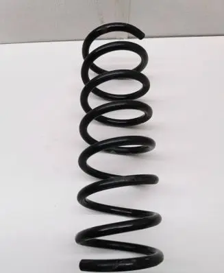 Rear coil spring