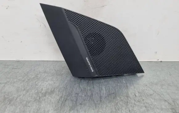 Audi e-tron Panel speaker 156242120