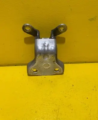 Rear door lower hinge