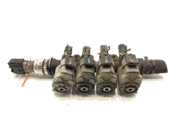 Citroen C4 Grand Picasso LP gas injector E09320019