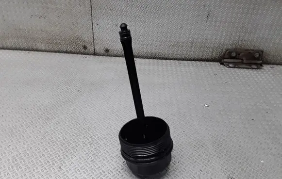Volkswagen PASSAT B5.5 Oil filter cover 038115433