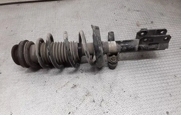 Opel Zafira C Front shock absorber with coil spring