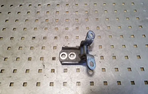 Nissan Qashqai Rear door lower hinge