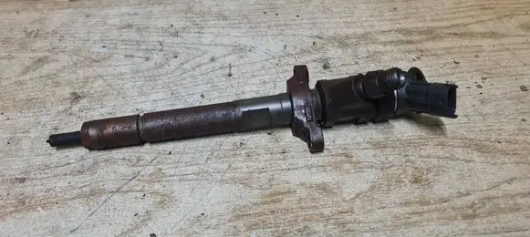 Citroen C4 I Fuel injector 0445110297