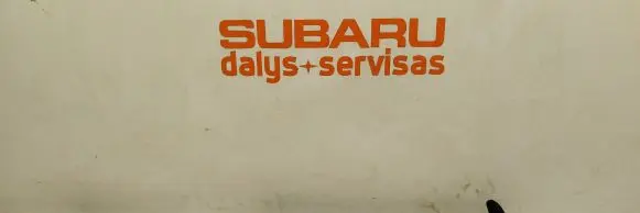 Subaru Outback Tailgate/trunk strut/damper